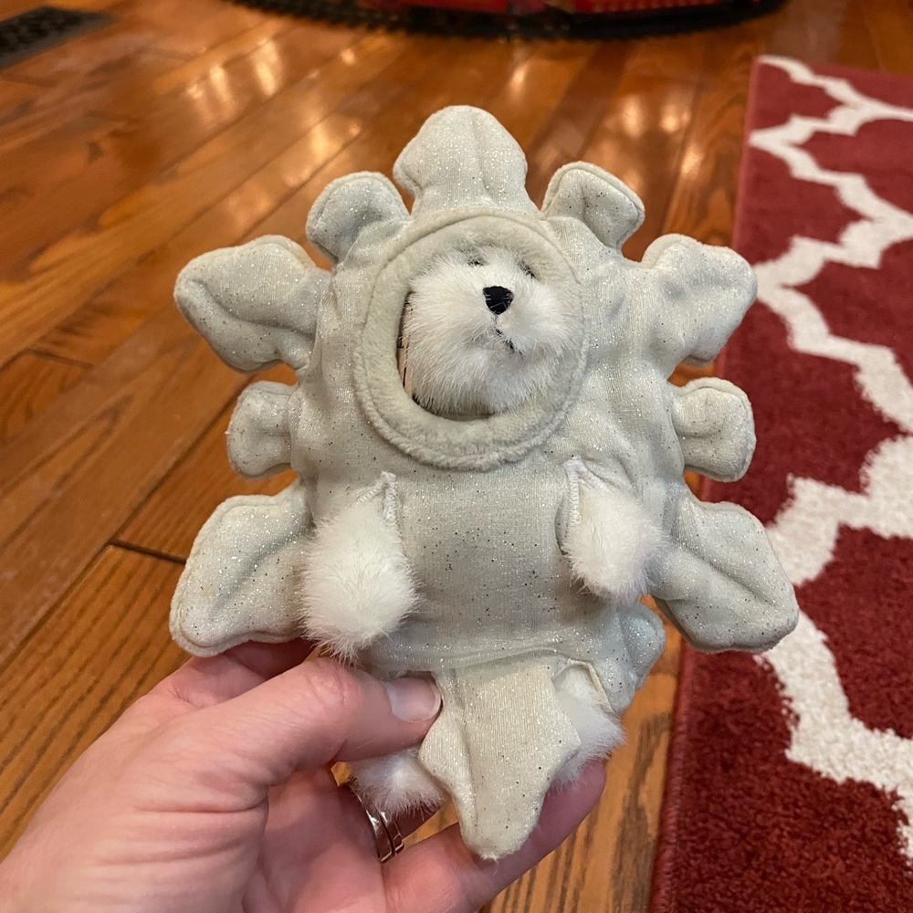 Boyd’s bear